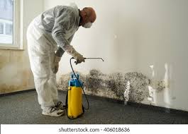 Best Industrial Mold Remediation  in Oakland, OR